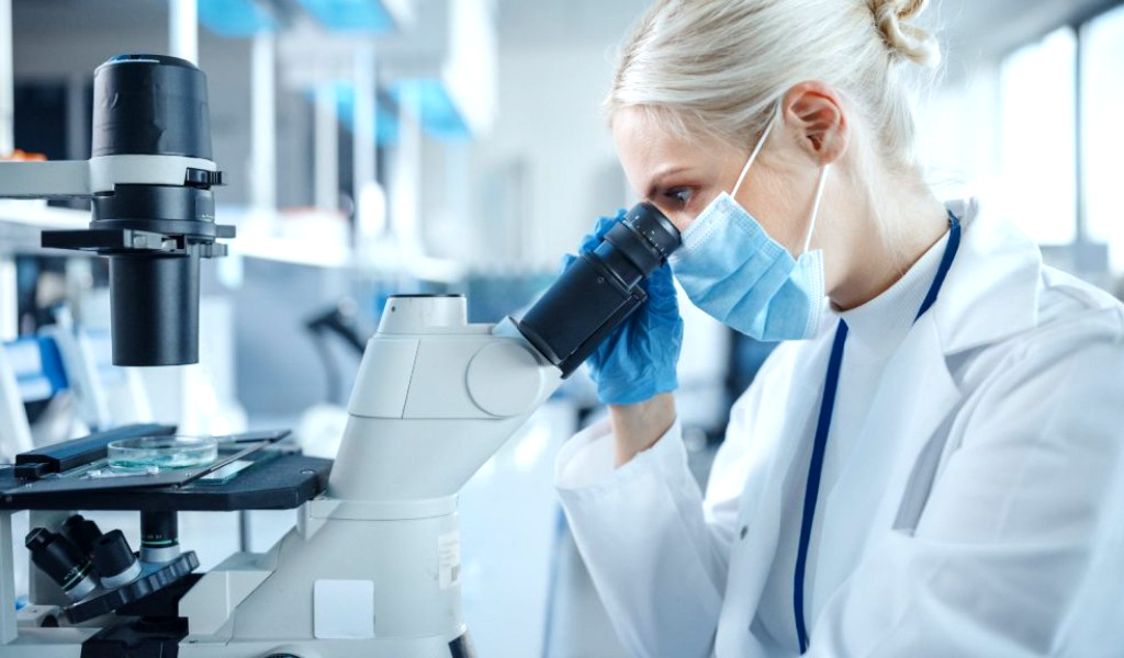Università di Pavia, scoperta sul cervello: la memoria può guidare l’attenzione e compensare i danni neurologici