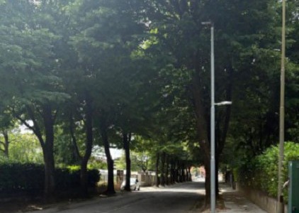 Viale Italia “piace” a tutti, ma è scontro sul merito dell’opera