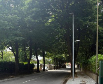 Viale Italia “piace” a tutti, ma è scontro sul merito dell’opera