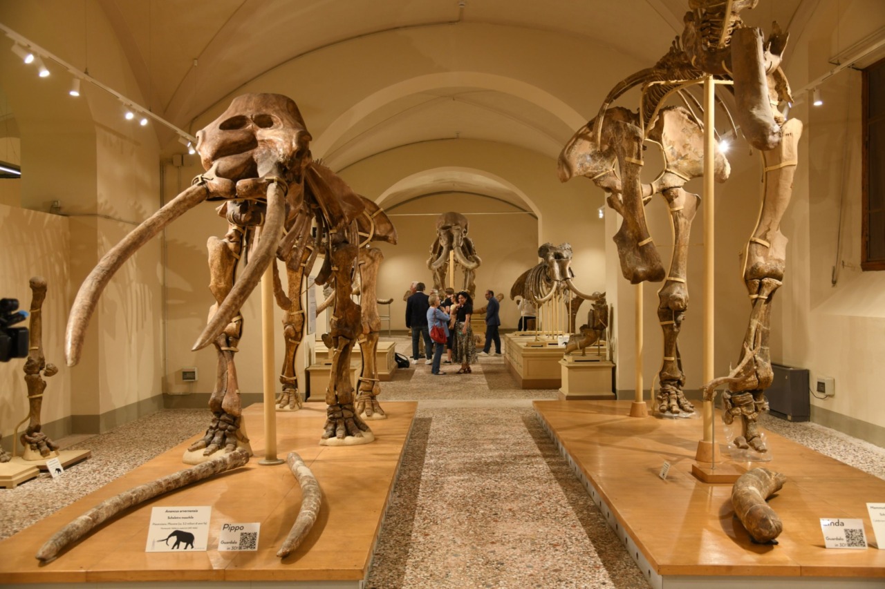 Visita al museo dei mondi scomparsi