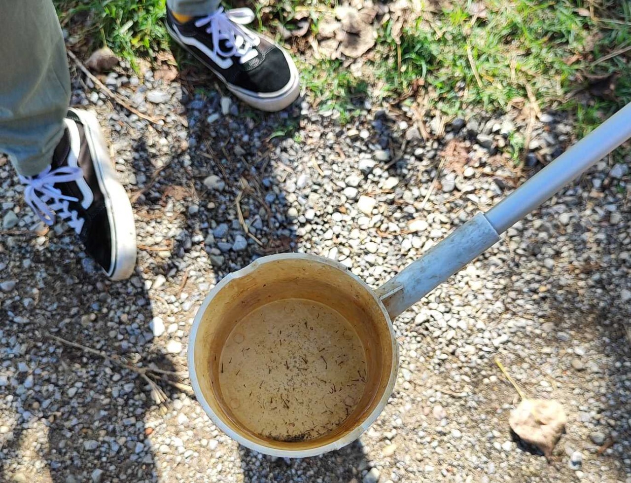 West Nile a Bagno a Ripoli, donna in ospedale