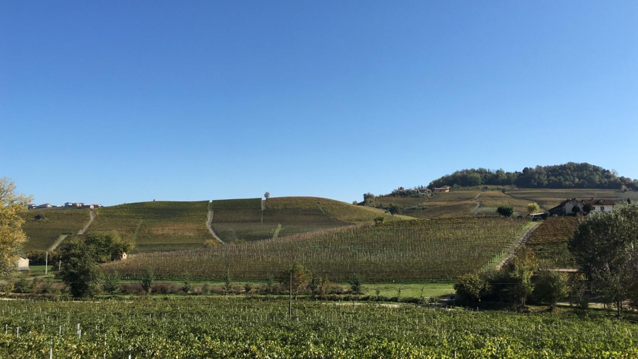 20 anni di Strada del Barolo e grandi vini di Langa: una grande festa il 12 settembre