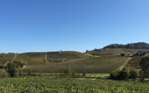 20 anni di Strada del Barolo e grandi vini di Langa: una grande festa il 12 settembre