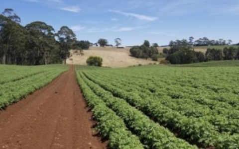 Agricoltura: da Regione Lombardia nel Bresciano 3,35 milioni di euro