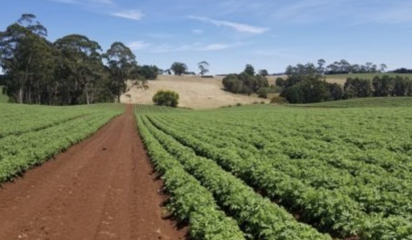Agricoltura: da Regione Lombardia nel Bresciano 3,35 milioni di euro