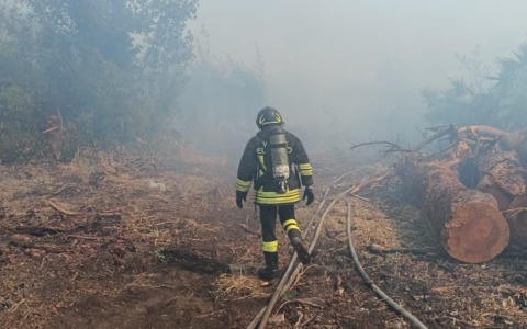 Allarme incendi, nel Lazio nei primi sei mesi dell’anno in fumo già 131 ettari
