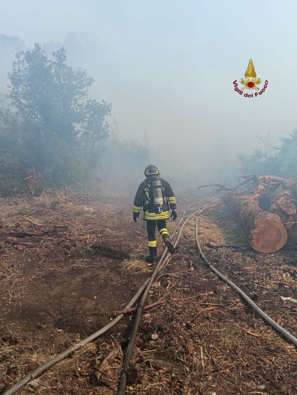 Allarme incendi, nel Lazio nei primi sei mesi dell’anno in fumo già 131 ettari