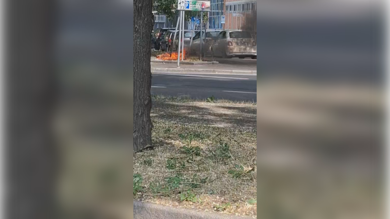 Bruciano sterpaglie in via Calori a Bologna, paura per le auto parcheggiate