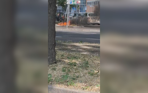 Bruciano sterpaglie in via Calori a Bologna, paura per le auto parcheggiate