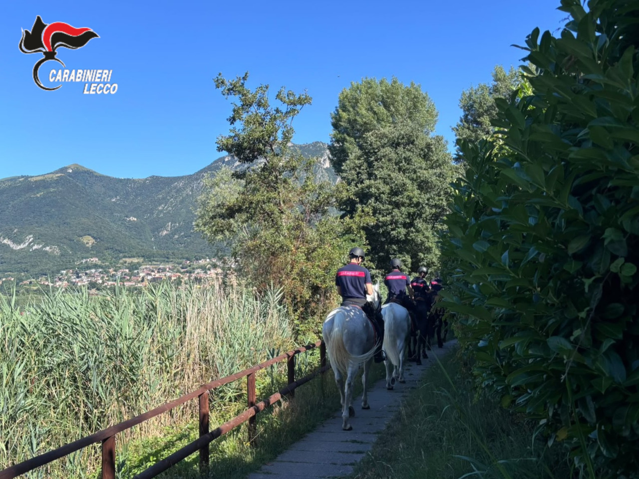 Carabinieri a cavallo nei boschi: controlli straordinari contro lo spaccio