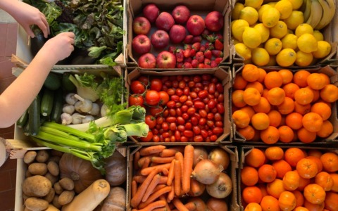 Ciclosporiasi negli Usa, “l’epidemia delle insalate”: occhi puntati sul Michigan