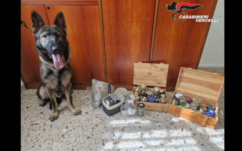 Cinquantenne incensurato in possesso di oltre 1,4 kg di stupefacenti: arrestato dai Carabinieri