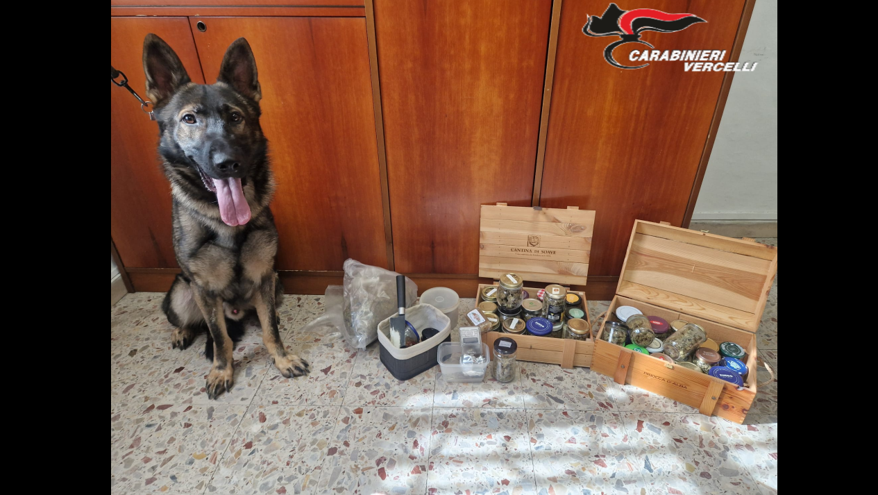 Cinquantenne incensurato in possesso di oltre 1,4 kg di stupefacenti: arrestato dai Carabinieri
