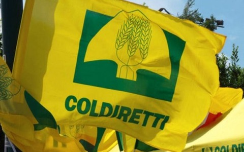 Coldiretti Vercelli-Biella: “Con anticipi Pac boccata d’ossigeno per le imprese”