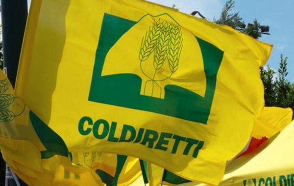 Coldiretti Vercelli-Biella: “Con anticipi Pac boccata d’ossigeno per le imprese”
