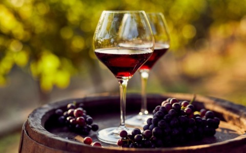 Crisi del vino piemontese: maggioranza e opposizione chiedono un intervento alla Regione