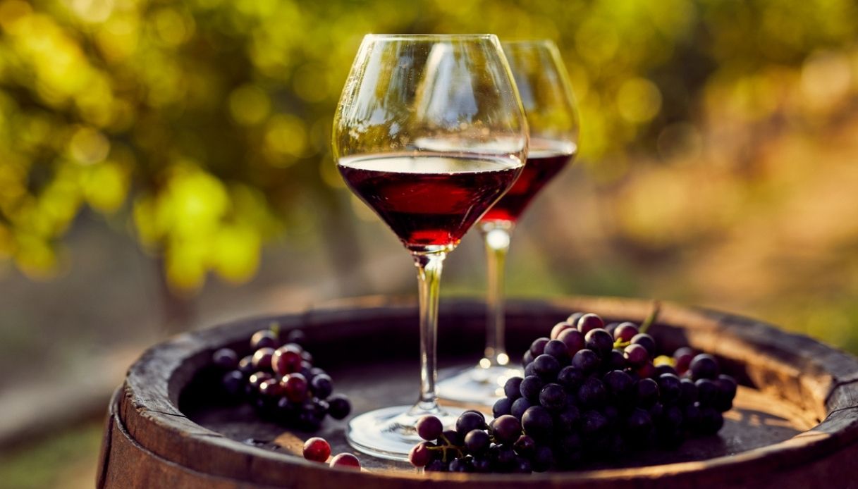 Crisi del vino piemontese: maggioranza e opposizione chiedono un intervento alla Regione
