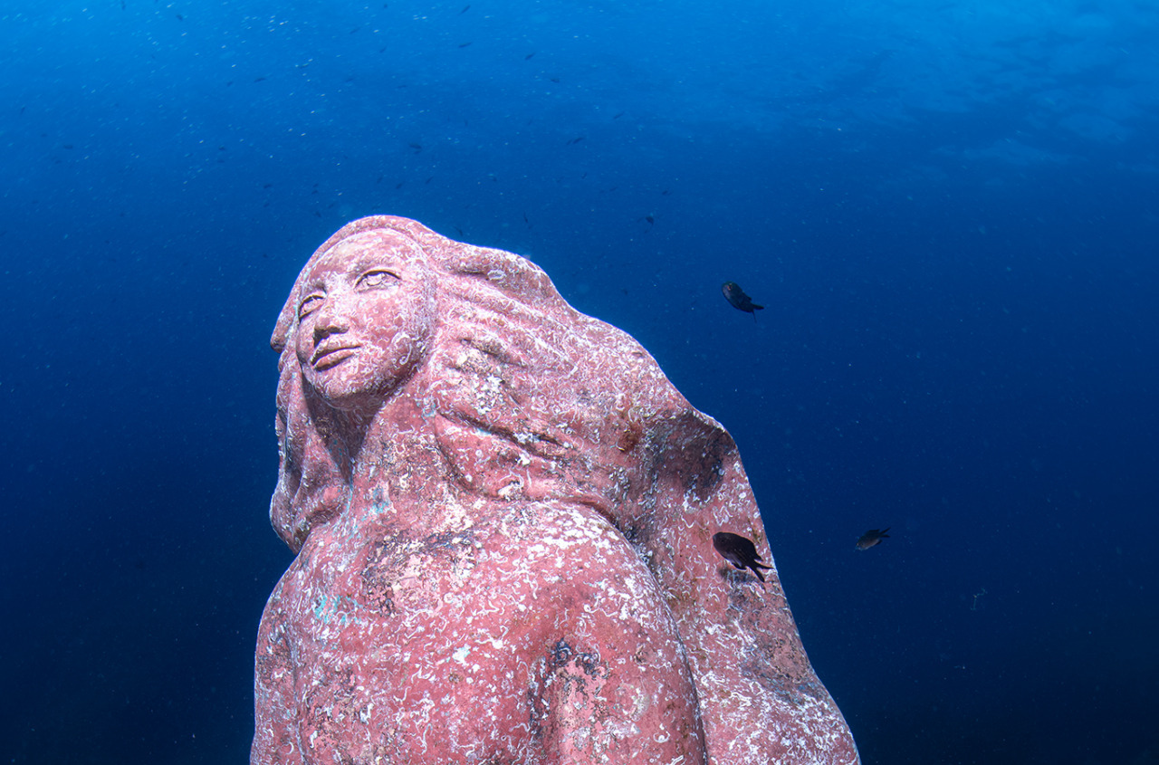 Custodi del patrimonio sommerso: Comune di Zoagli e Carabinieri Subacquei insieme per la tutela della Madonnina del Mare