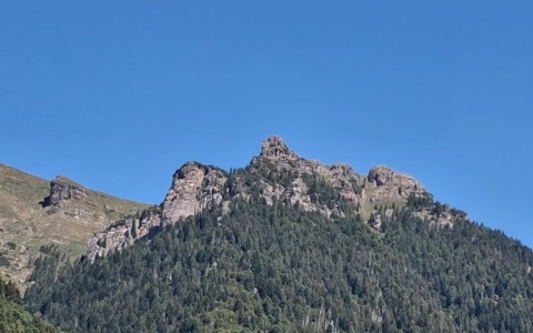 Dramma ad Averara, in alta Val Brembana: 23enne perde la vita mentre è al lavoro nei boschi