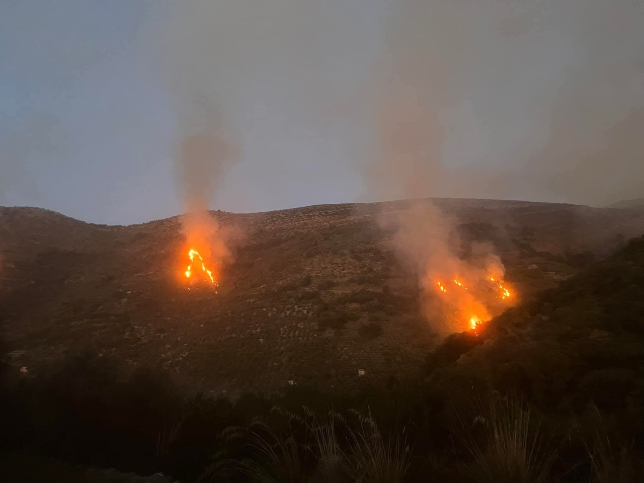 Due vasti incendi, divorati ettari di vegetazione