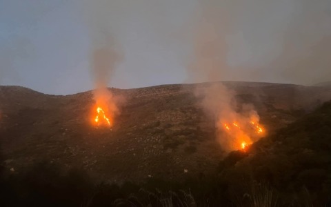 Due vasti incendi, divorati ettari di vegetazione