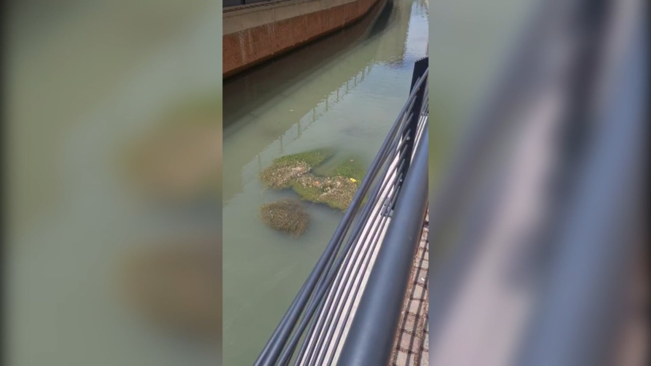 Canale di via Riva Reno, Fratelli d’Italia annuncia segnalazione all’Azienda Usl