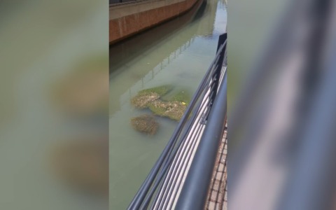 Canale di via Riva Reno, Fratelli d’Italia annuncia segnalazione all’Azienda Usl