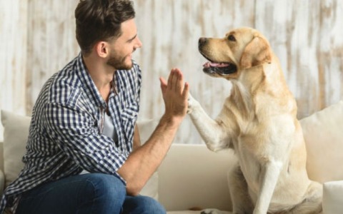 Giornata Internazionale del cane: mandateci le vostre foto