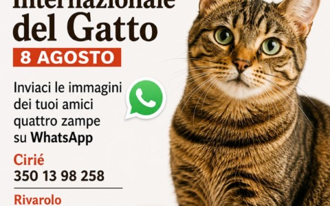 Giornata Internazionale del gatto: mandateci le vostre foto!