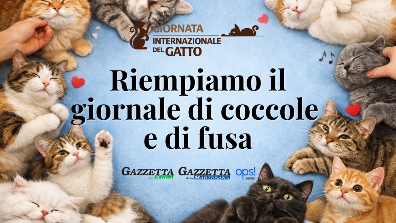 Giornata internazionale del gatto: riempiamo il giornale di foto… con i baffi