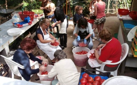 Gli eventi di oggi, sabato 11 luglio
