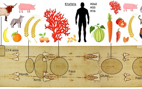 Il DNA della Sindone racconta secoli di storia: lo studio di Pavia e Padova analizza le tracce biologiche del telo