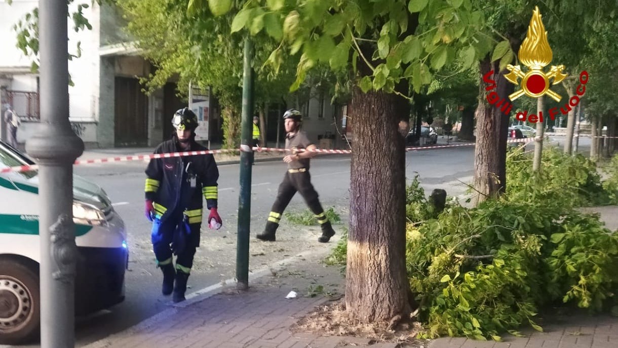 Il forte vento spezza i rami in corso Gastaldi: i Vigili del Fuoco ripristinano la situazione