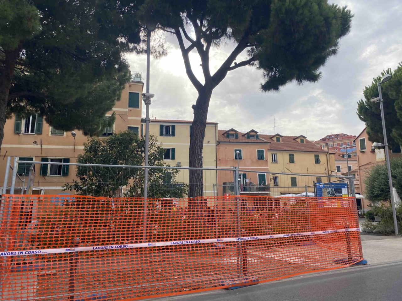 Imperia , pino pericoloso verrà rimosso