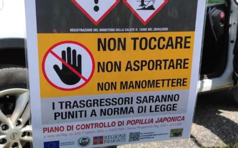 In Canavese posizionate le trappole per la vorace Popillia japonica