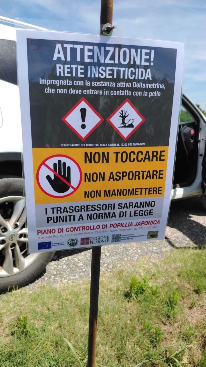 In Canavese posizionate le trappole per la vorace Popillia japonica