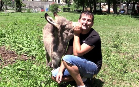 In massa per far vivere l’asino Forrest