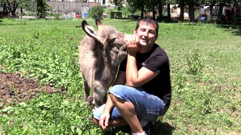 In massa per far vivere l’asino Forrest