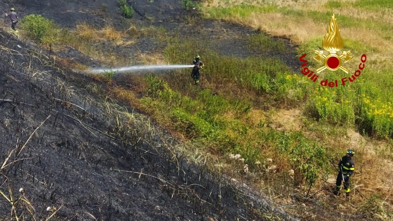 Incendio sterpaglie e paura al casello Vercelli Ovest: intervengono i Vigili del Fuoco