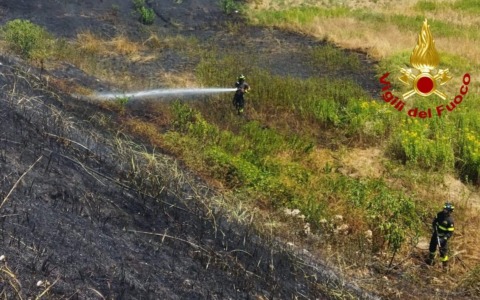 Incendio sterpaglie e paura al casello Vercelli Ovest: intervengono i Vigili del Fuoco