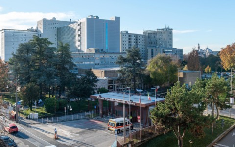 Incidenti sul lavoro: 27enne travolto da un palo in legno, muore dopo quattro giorni in ospedale