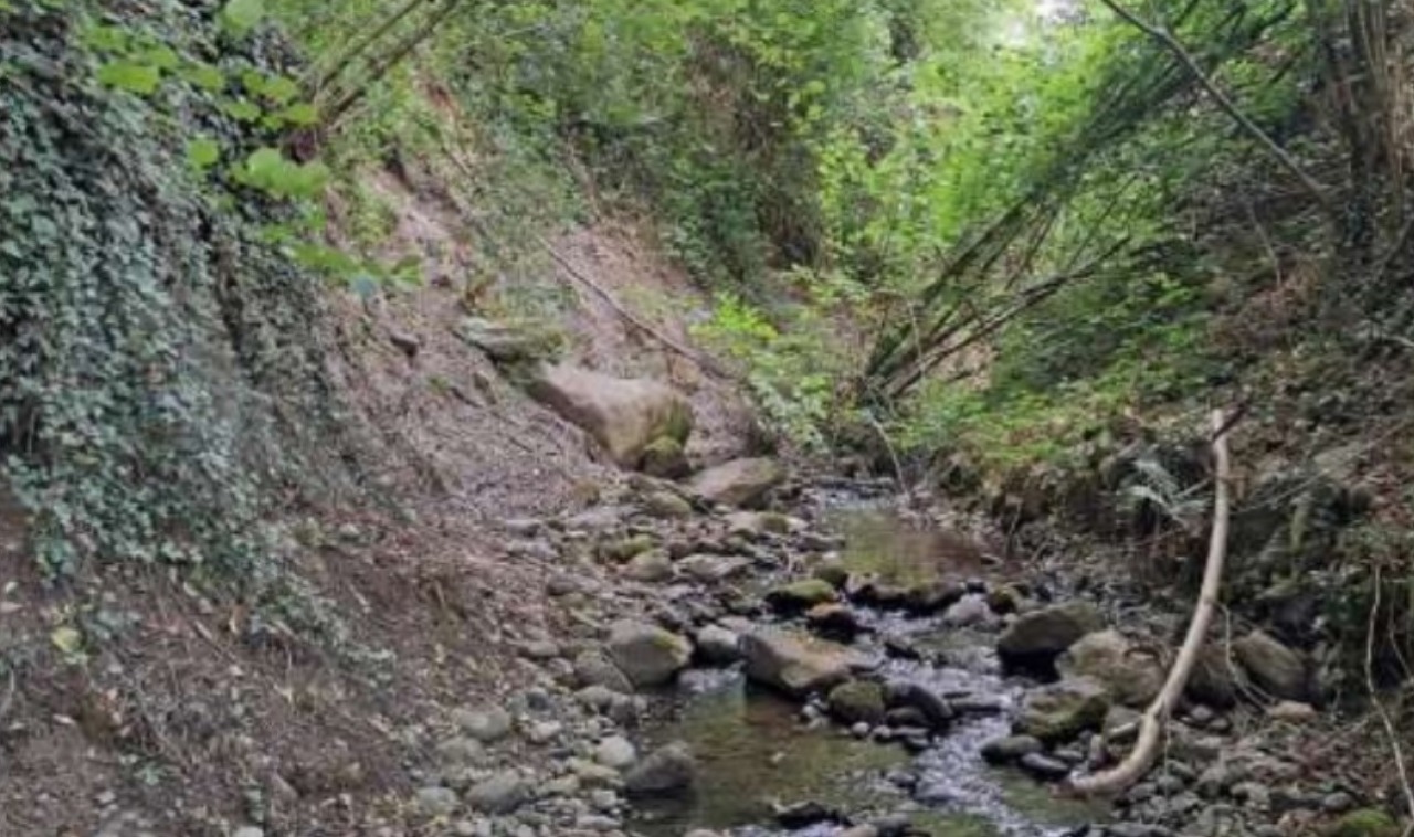 Intervento di sistemazione per il torrente Ruschetta, il Comune partecipa al bando regionale