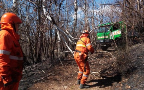 La Regione al lavoro per iniziare il ripristino dei boschi bruciati dagli incendi