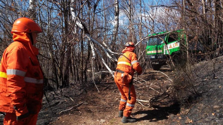 La Regione al lavoro per iniziare il ripristino dei boschi bruciati dagli incendi