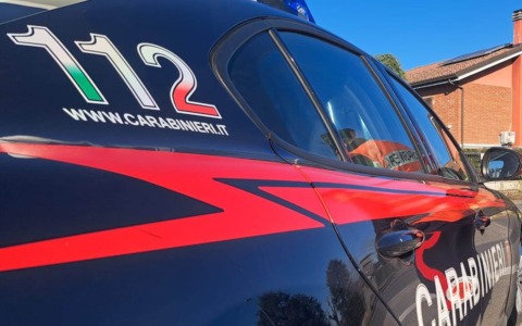 Lascia due cani soli in casa per andare in vacanza: denunciato un cinquantenne a Venaria