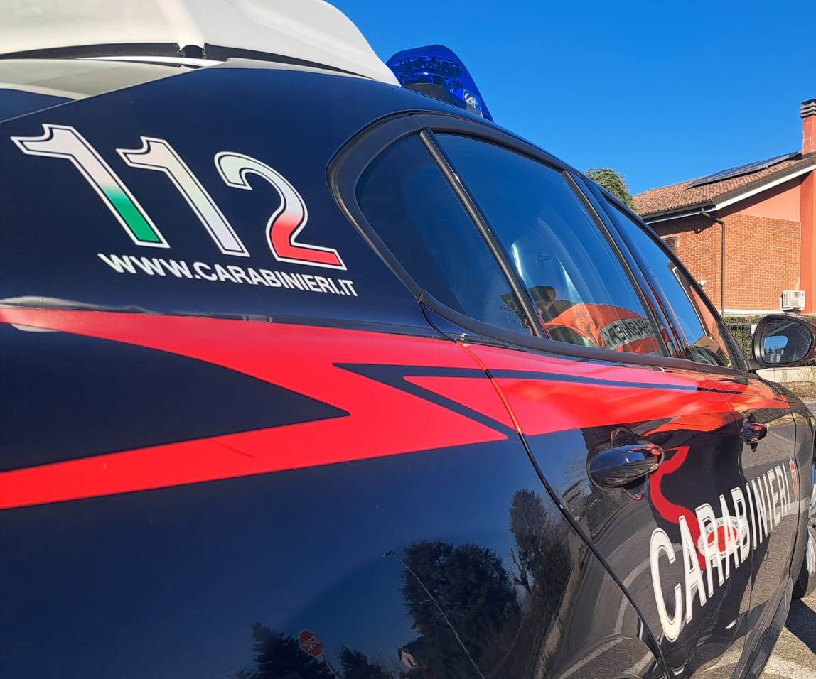 Lascia due cani soli in casa per andare in vacanza: denunciato un cinquantenne a Venaria