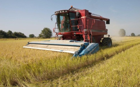 Lavoratori stagionali in agricoltura, in Piemonte focus su sorveglianza sanitaria e formazione obbligatoria