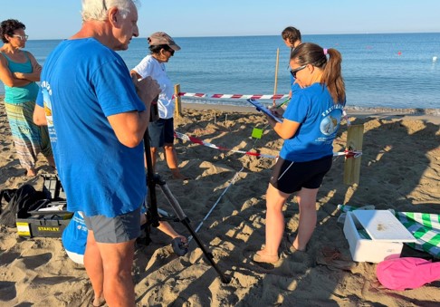 Litorale romano, scoperto un nido di tartaruga Caretta Caretta: uova messe in sicurezza