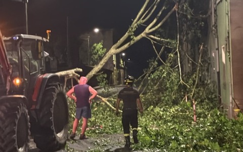 Maltempo: a Bosco Marengo alberi sradicati, tetti scoperchiati e danni ad una cabina elettrica