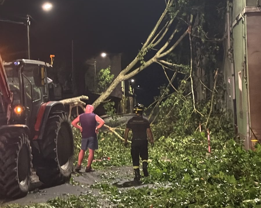 Maltempo: a Bosco Marengo alberi sradicati, tetti scoperchiati e danni ad una cabina elettrica